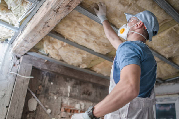 Best Home Insulation Services  in Newport Beach, CA