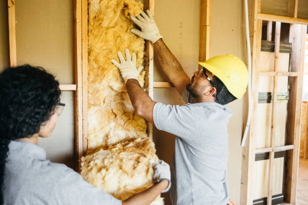 Best Garage Insulation Installation  in Newport Beach, CA